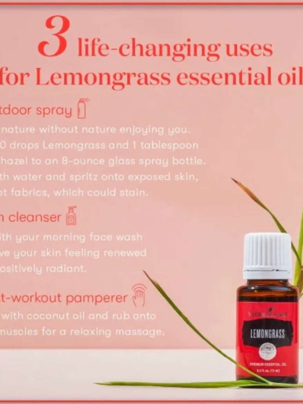Young Living Lemongrass Essential Oil Bottle - Brand New Unopened 15ml bottle - Picture 7 of 8